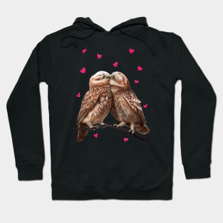 Owls in love Hoodie